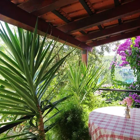 Apartments Villa Hraste Hvar Hvar Town Room photo